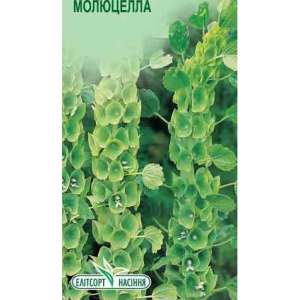 Молюцелла ірландська - квіти, 0,5 г насіння, ТМ Елітсорт фото, цiна